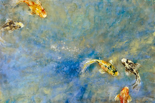 Butterfly Koi - Bridges