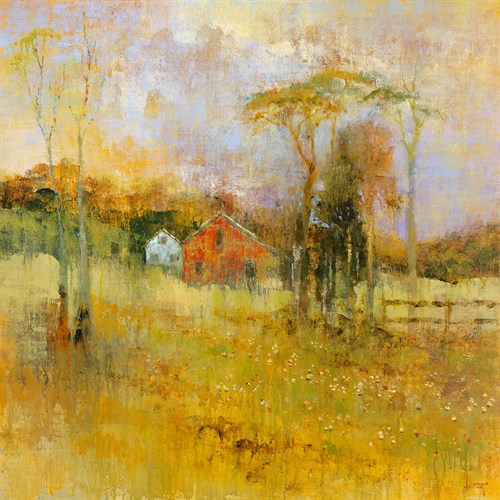 Country Dream - Longo