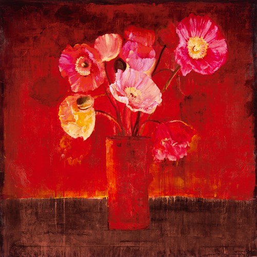 Red Magellan I - Douglas