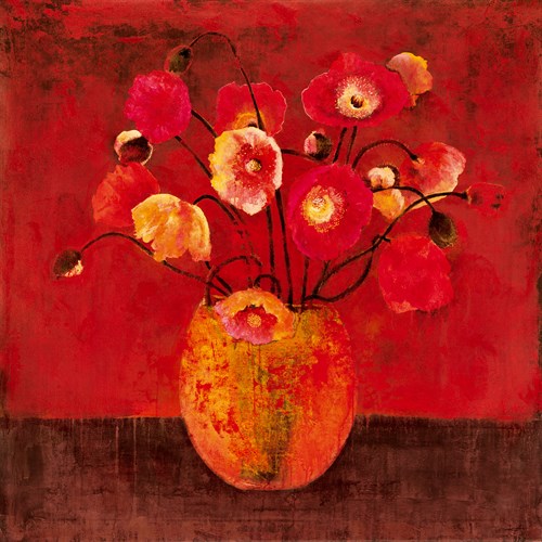 Red Magellan II - Douglas
