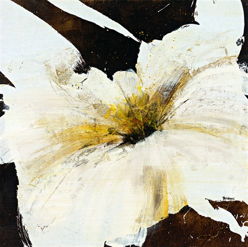 Blanco Flor IV - Bridges