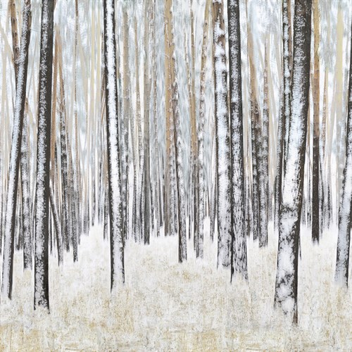 Hinterland II - Mark Chandon