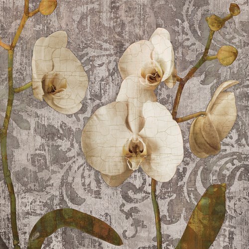 Damask Blooms II - Tania Bello
