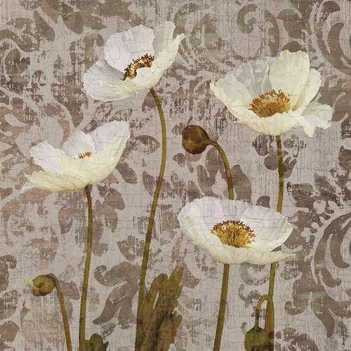 Damask Blooms III - Tania Bello