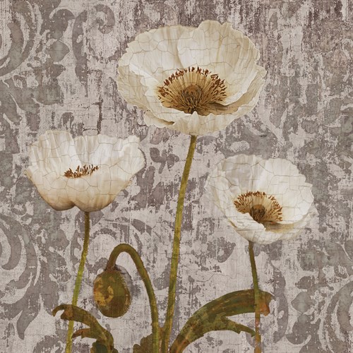Damask Blooms IV - Tania Bello