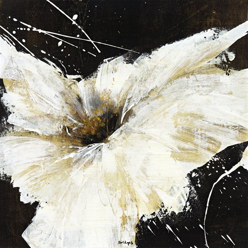 Blanco Flor I - Bridges
