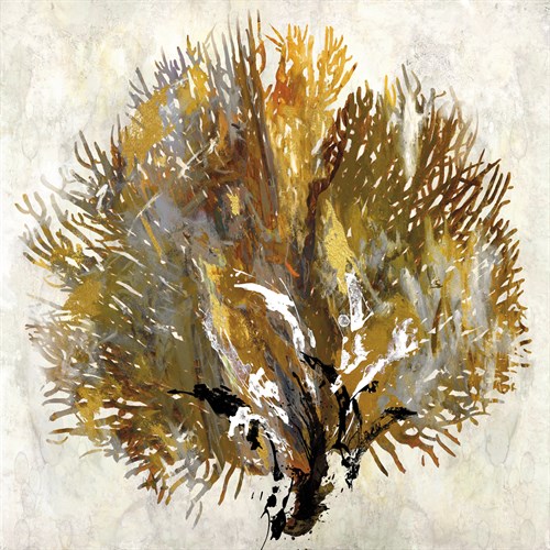 Sea Fan I - Paul Duncan