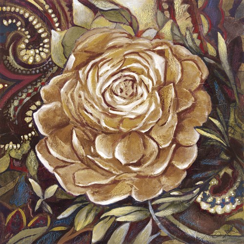 Graceful State IV - Douglas