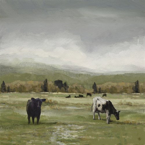 To Pastures New - Mark Chandon