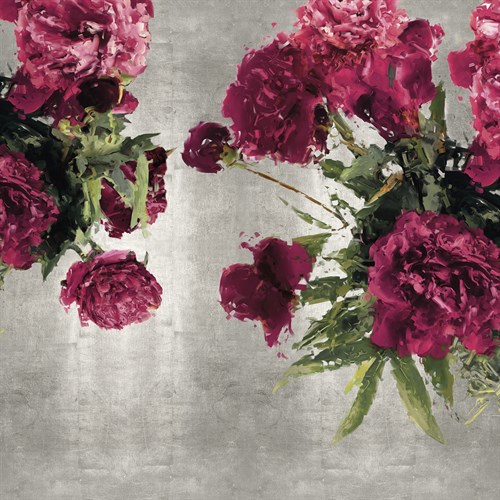 Pearly Peonies - Tania Bello