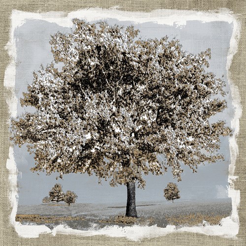 Prairie Country - Mark Chandon