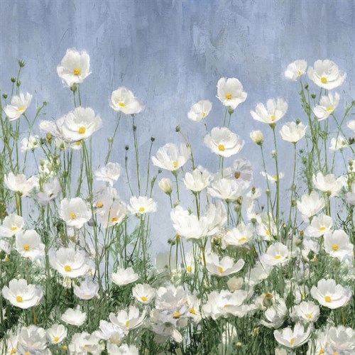 Cosmos Meadow - Tania Bello