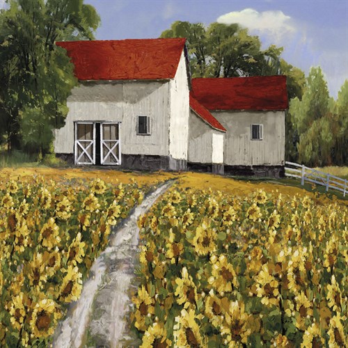 Sunflower Path - Mark Chandon