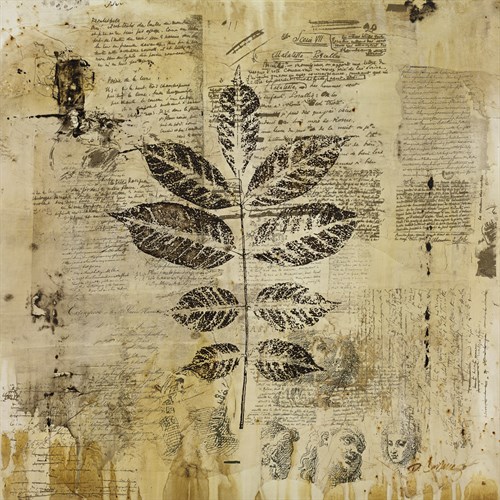Botanical Sketchbook II - Carney