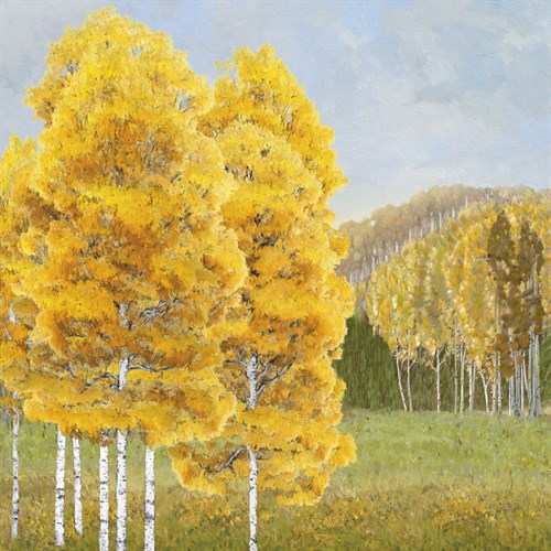 Roaming Countryside - Mark Chandon