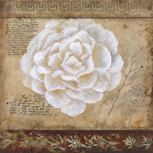 Bonita V - Dysart
