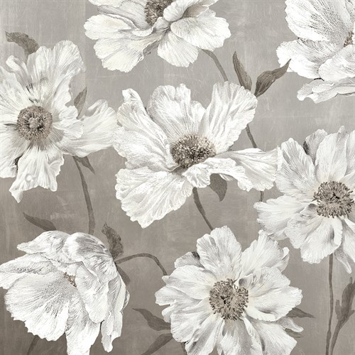 Floral Melody - Song - Thomas  Hazlehurst