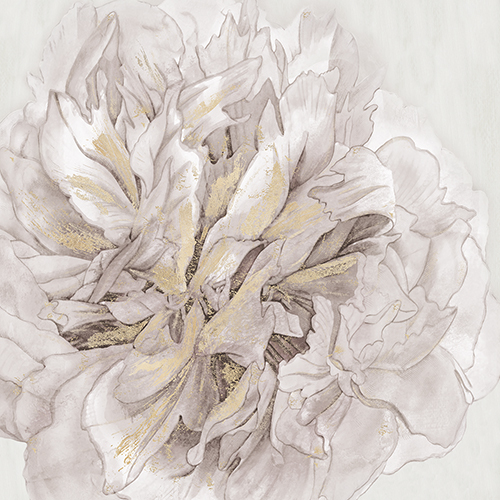 Pristine Petals - Serene - Thomas  Hazlehurst