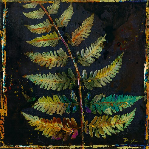 Botany Trip VI - Douglas