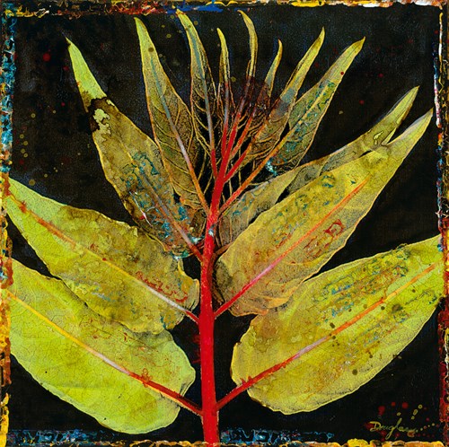 Botany Trip VIII - Douglas