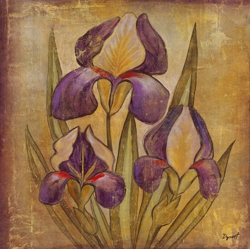 Ancient Floral I - Dysart