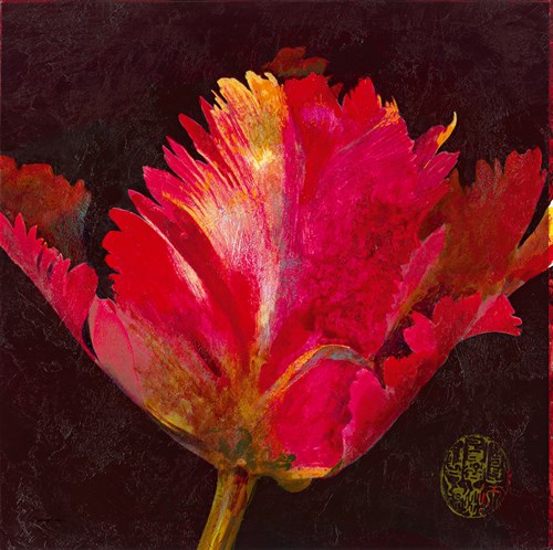 Hana III - Douglas