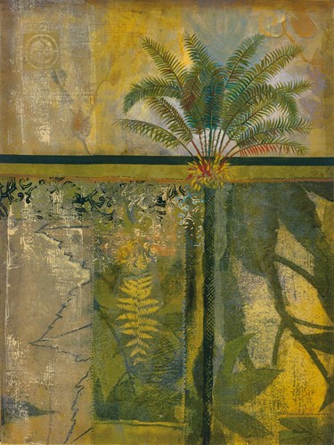 Equatorial Beauty I - Douglas