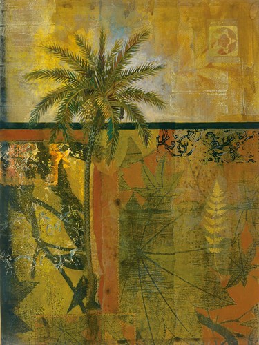 Equatorial Beauty III - Douglas