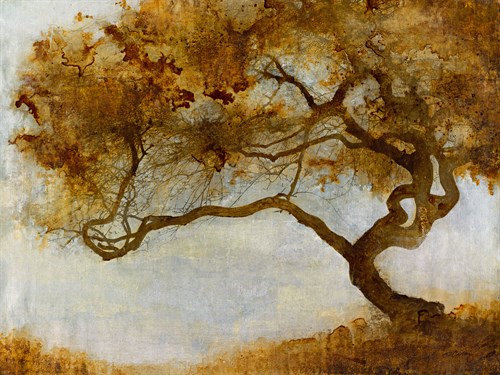 One Tree - Carney