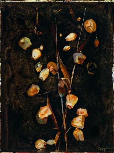 Floral Negative III - Douglas