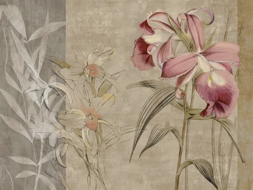 Java II - Emma Hill