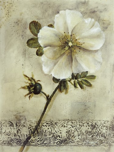 Floral Blush I - Carney