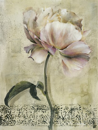Floral Blush II - Carney