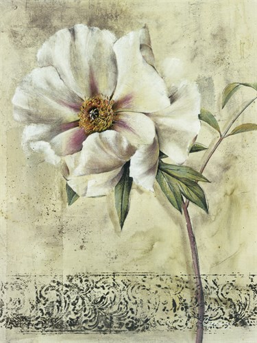 Floral Blush III - Carney