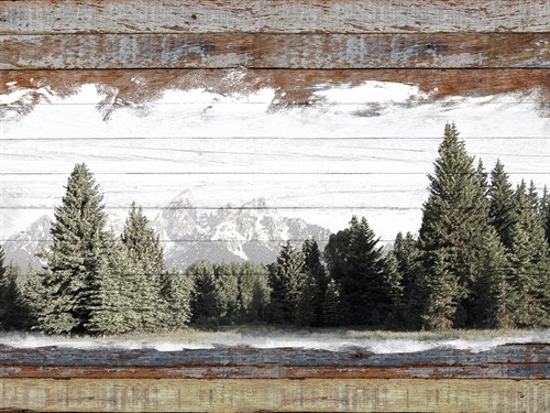 Alpine Range - Teton - Mark Chandon