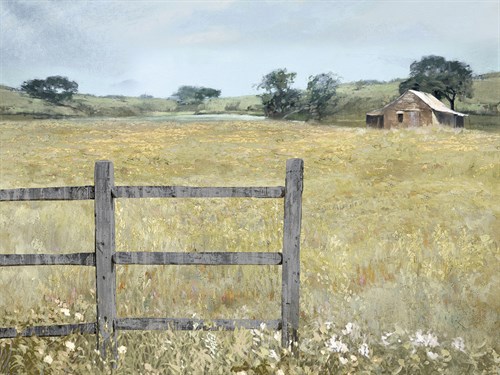 Sweet Meadow - Mark Chandon