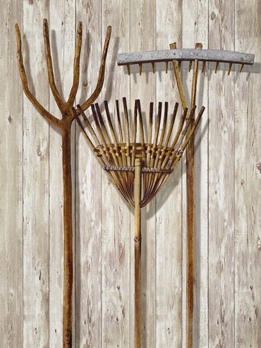 The Gardener's Tools - Mark Chandon