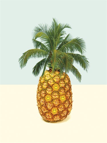 Pine-'appy - Justin Park