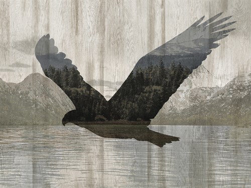 Camouflage Animals - Eagle - Tania Bello