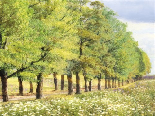 Avenue De L'Arbre - Tania Bello