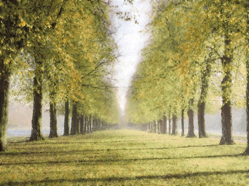 Avenue Des Arbres - Tania Bello
