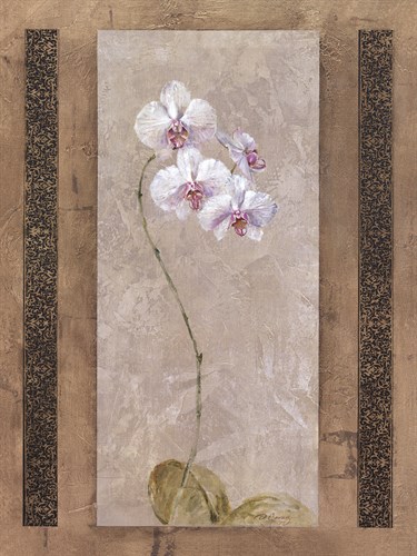 Contemporary Orchid I - Carney