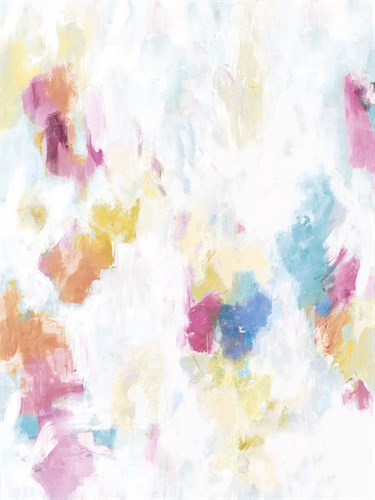 Rainbow Dream - Paul Duncan