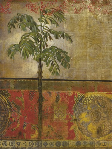 Equatorial Beauty II - Douglas