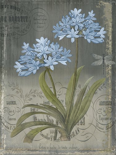 Black Botanical II - Emma Hill