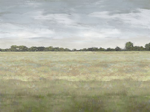 Quiet Meadow - Winter - Paul Duncan