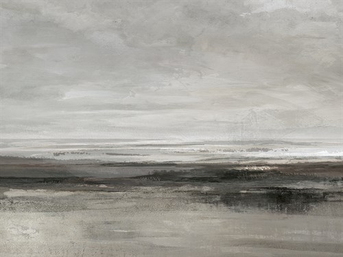 Pewter Coastline - Gaze - Anne Rushout