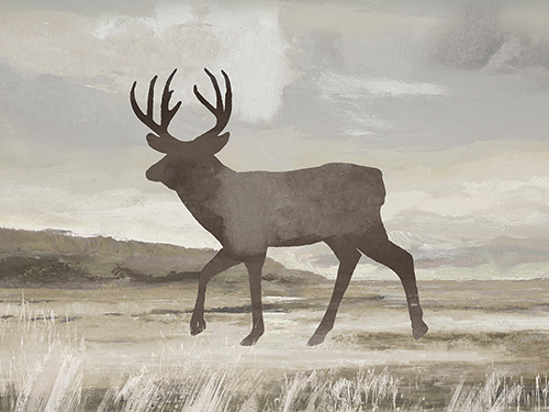 Wilderness Explorer - Deer - Anne Rushout