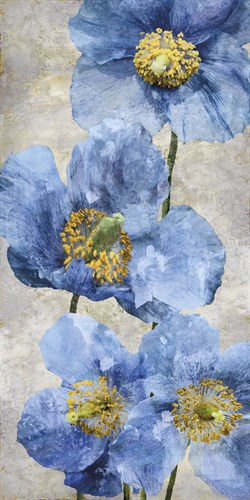 Poppy Splendour I - Tania Bello