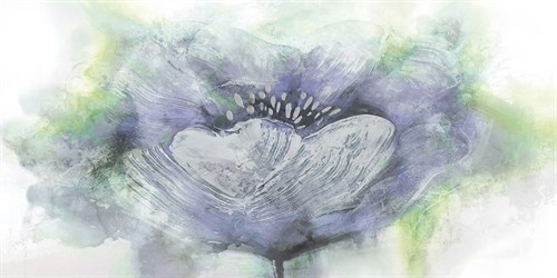 Urban Floral II - Paul Duncan